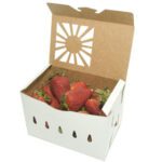Wholesale Berry Boxes